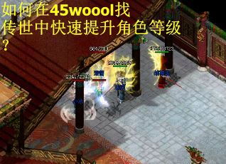 如何在45woool找传世中快速提升角色等级？