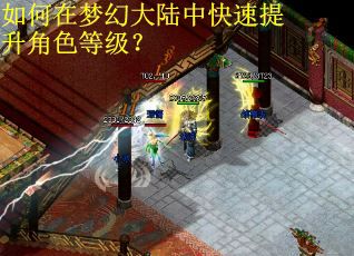如何在梦幻大陆中快速提升角色等级？