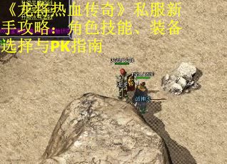 《龙将热血传奇》私服新手攻略：角色技能、装备选择与PK指南