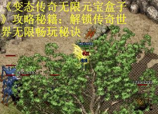 《变态传奇无限元宝盒子》攻略秘籍：解锁传奇世界无限畅玩秘诀