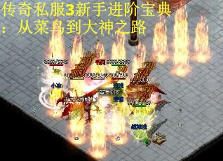 传奇私服3新手进阶宝典：从菜鸟到大神之路