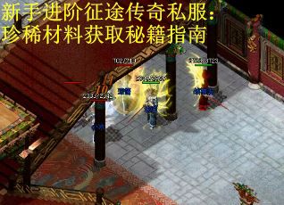 新手进阶征途传奇私服：珍稀材料获取秘籍指南