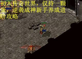 初入传奇世界，仅持一颗蛋，逆袭成神新手养成进阶攻略