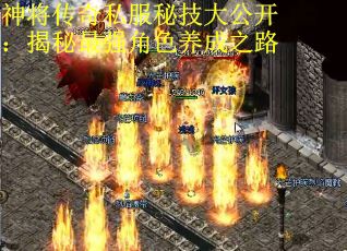 神将传奇私服秘技大公开：揭秘最强角色养成之路