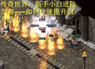 传奇世界：新手小白进阶指南——如何快速提升自身战力