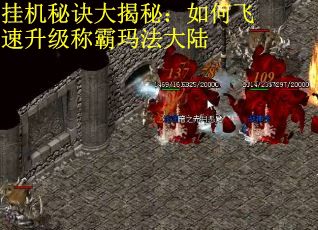 挂机秘诀大揭秘：如何飞速升级称霸玛法大陆