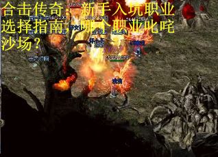 合击传奇：新手入坑职业选择指南，哪个职业叱咤沙场？