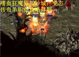 嗜血狂魔独闯沙城：变态传奇单职业攻略详解