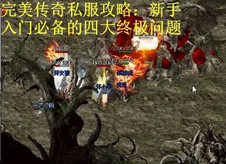 完美传奇私服攻略：新手入门必备的四大终极问题