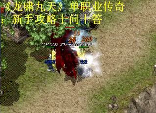 《龙啸九天》单职业传奇：新手攻略十问十答