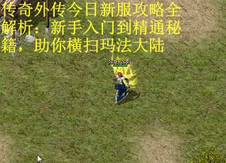 传奇外传今日新服攻略全解析：新手入门到精通秘籍，助你横扫玛法大陆