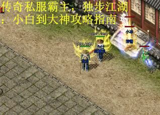 传奇私服霸主，独步江湖：小白到大神攻略指南