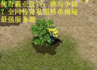 传奇霸业登顶，谁与争锋？全网传奇私服榜单揭秘最强服务器