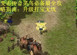 变态传奇菜鸟必备最全攻略指南：升级打宝无忧