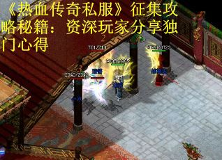 《热血传奇私服》征集攻略秘籍：资深玩家分享独门心得