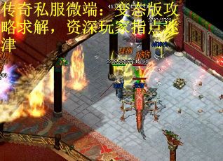 传奇私服微端：变态版攻略求解，资深玩家指点迷津