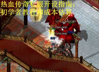 热血传奇私服开设指南：初学者教程和成本估算