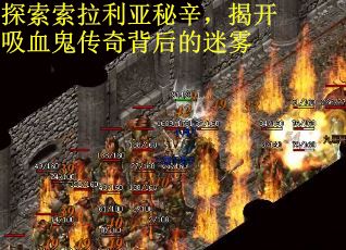 探索索拉利亚秘辛，揭开吸血鬼传奇背后的迷雾