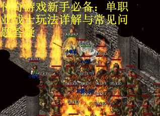 传奇游戏新手必备：单职业战士玩法详解与常见问题答疑