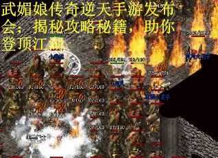 武媚娘传奇逆天手游发布会：揭秘攻略秘籍，助你登顶江湖