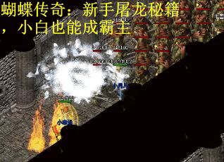 蝴蝶传奇：新手屠龙秘籍，小白也能成霸主