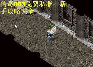 传奇003免费私服：新手攻略大全