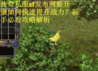 传奇私服sf发布网新开服如何快速提升战力？新手必看攻略解析