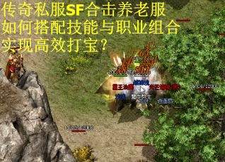 传奇私服SF合击养老服如何搭配技能与职业组合实现高效打宝？