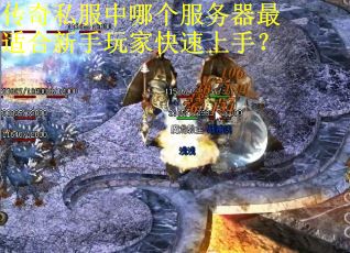 传奇私服中哪个服务器最适合新手玩家快速上手？