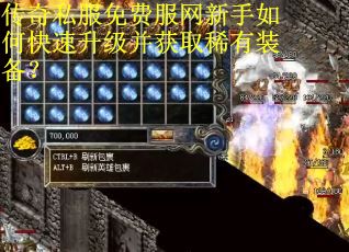 传奇私服免费服网新手如何快速升级并获取稀有装备？