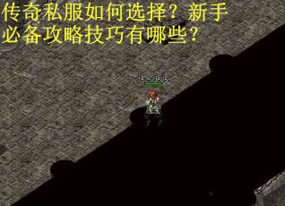 传奇私服如何选择？新手必备攻略技巧有哪些？