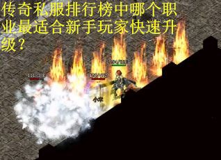 传奇私服排行榜中哪个职业最适合新手玩家快速升级？
