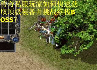 传奇私服玩家如何快速获取顶级装备并挑战终极BOSS？
