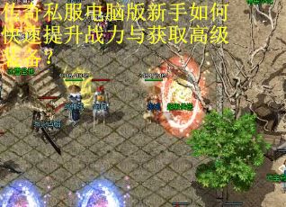 传奇私服电脑版新手如何快速提升战力与获取高级装备？