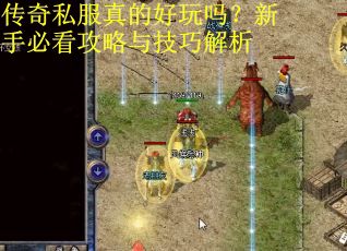 传奇私服真的好玩吗？新手必看攻略与技巧解析