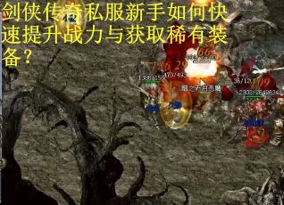 剑侠传奇私服新手如何快速提升战力与获取稀有装备？