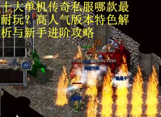 十大单机传奇私服哪款最耐玩？高人气版本特色解析与新手进阶攻略