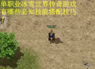 单职业冰雪世界传奇游戏有哪些必知技能搭配技巧？