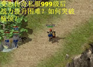 变态传奇私服999级后战力提升困难?如何突破瓶颈? 变态传奇私服999级后战力提升困难?如何突破瓶颈?