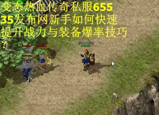 变态热血传奇私服65535发布网新手如何快速提升战力与装备爆率技巧？