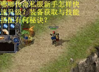 嘟嘟传奇私服新手怎样快速升级？装备获取与技能搭配有何秘诀？
