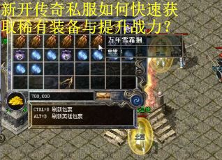 新开传奇私服如何快速获取稀有装备与提升战力？