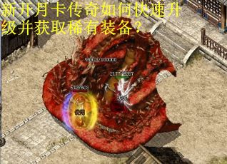 新开月卡传奇如何快速升级并获取稀有装备？