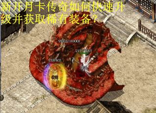 新开月卡传奇如何快速升级并获取稀有装备？