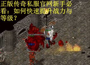 正版传奇私服官网新手必看：如何快速提升战力与等级？