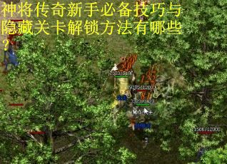 神将传奇新手必备技巧与隐藏关卡解锁方法有哪些？