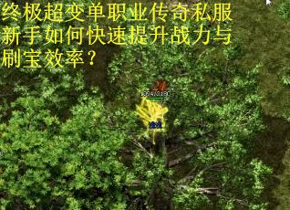 终极超变单职业传奇私服新手如何快速提升战力与刷宝效率？