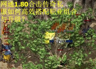 网通1.80合击传奇私服如何高效搭配职业组合与升级? 网通1.80合击传奇私服如何高效搭配职业组合与升级?