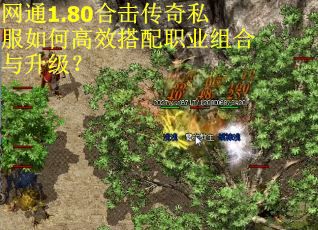 网通1.80合击传奇私服如何高效搭配职业组合与升级？