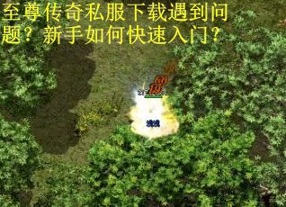 至尊传奇私服下载遇到问题?新手如何快速入门? 至尊传奇私服下载遇到问题?新手如何快速入门?